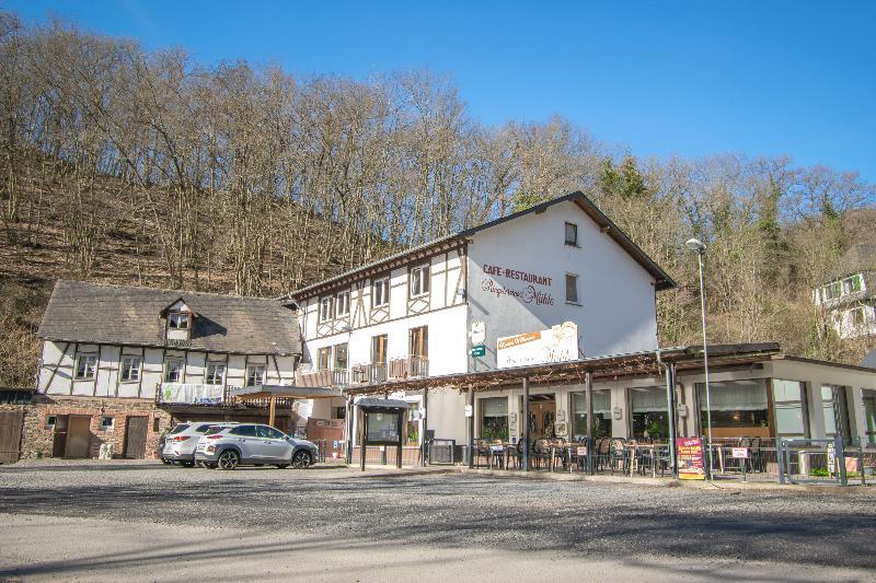 Landhotel Ringelsteiner Muehle Moselkern Bagian luar foto